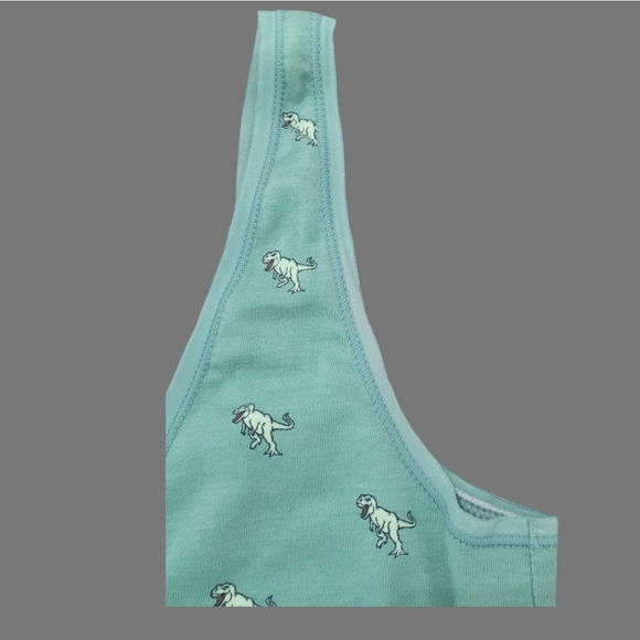MeUndies "Dinosaur Theme" Girls/Ladies Bra - Picture 2 of 9